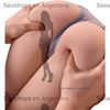 Semi Torso Realista Con piernas articulables – 9.5 KG